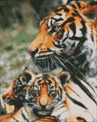 Набір з алмазною мозаїкою 