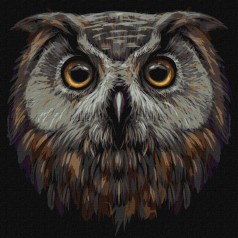 Картина за номерами 