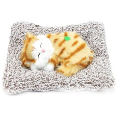 Котик-пушистик на килимку, вигляд 4