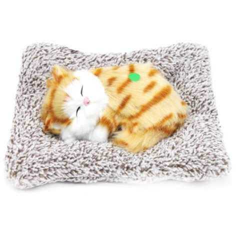 Котик-пушистик на килимку, вигляд 4