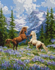 Набор для раскраски по номерам Ideyka 