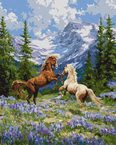 Набор для раскраски по номерам Ideyka 