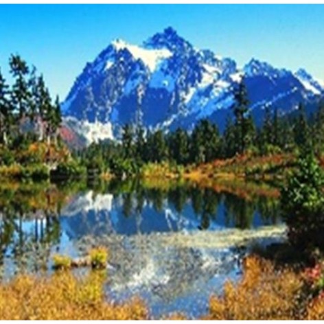 Алмазна мозаїка за номерами 40*50 