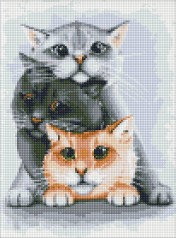 Набір з алмазною мозаїкою 