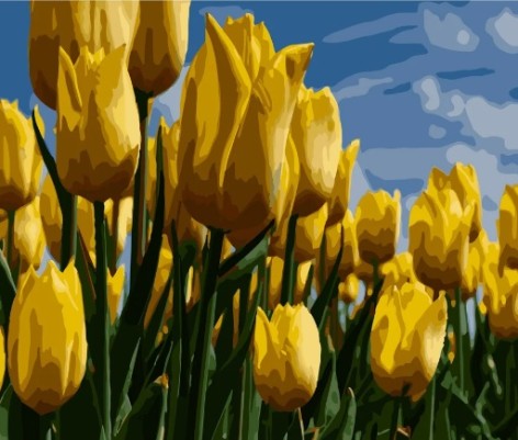 Набір для розпису по номерах Поле жовтих тюльпанів Strateg розміром 40х50 см (GS260)