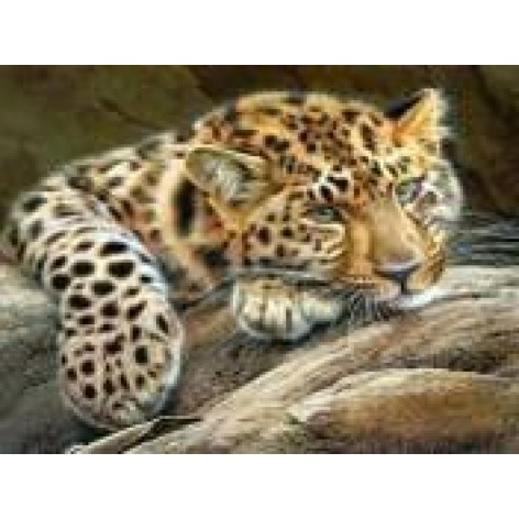 Алмазная мозаика по номерам 30*40 