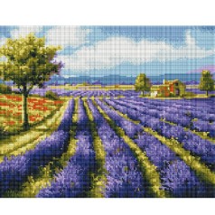 Алмазна мозаїка: Лавандові поля