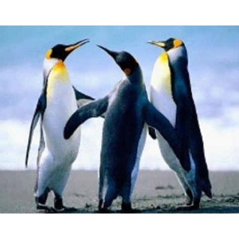 Алмазная мозаика по номерам 30*40 