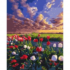 Картина за номерами Поле тюльпанів 40х50 см (VA-2894) з лаком та рівнем TM Strateg