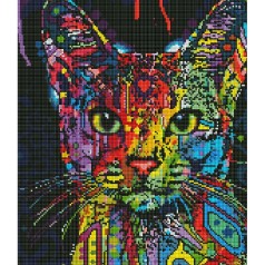 Алмазна мозаїка: Абісинська кішка