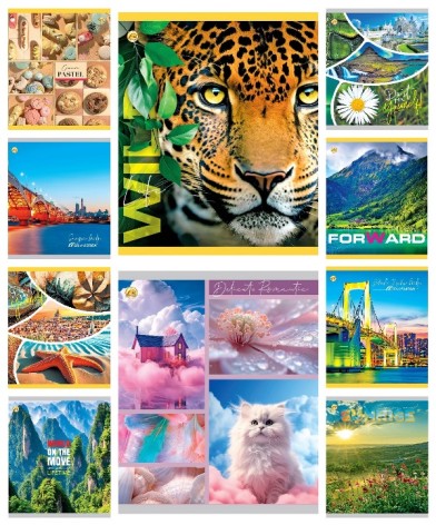 Зошит 60 арк.клітинка Тверда ТА51600 Мікс 1, 10/160  10к. ціна за 10 шт.