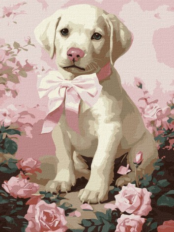 Набор для раскраски по номерам 