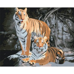 Картина по номерам: Дикие тигры 40*50 BS52793