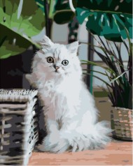 Набір для розпису по номерах Пухнастий котик Strateg розміром 40х50 см (GS211)