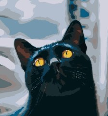 Набор для росписи по номерам Котик с желтыми глазами Strateg размером 40х40 см (SK022)