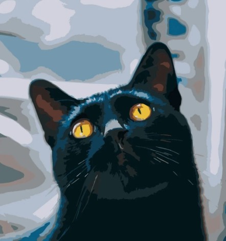 Набор для росписи по номерам Котик с желтыми глазами Strateg размером 40х40 см (SK022)