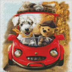 Набір з алмазною мозаїкою 