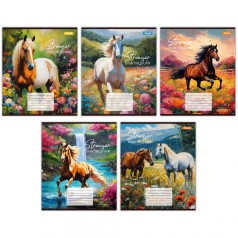 А5/24 лін. 1B Stronger than the storm, тетрадь учнів. 20 шт в уп. //