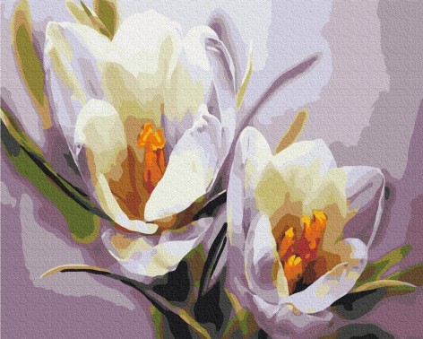 Картина по номерам: Крокусы 40*50 BS5828