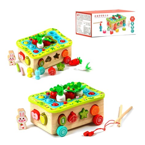 Каталка логическая 3в1 