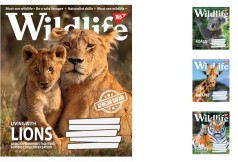 Набір зошитів Yes "Wild life" лінія, 60 аркушів, 10 зошитів 766083