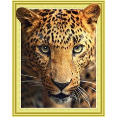 Алмазна мозаїка за номерами 0014ELT 40*50 об'ємна 