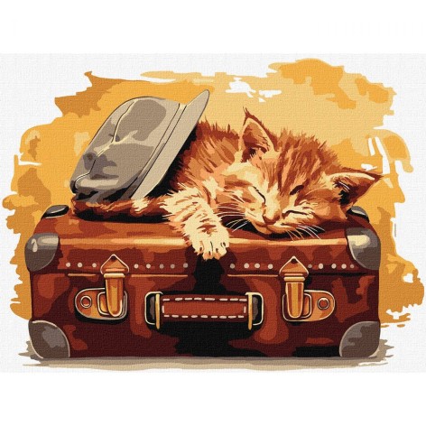 Набор для росписи по номерам 