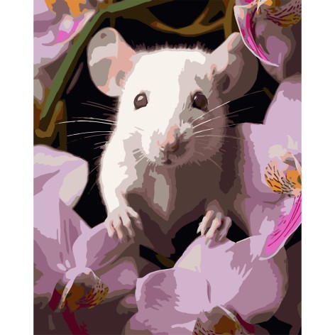 Картина за номерами Strateg 