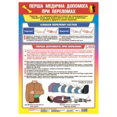 Плакат-пособие 