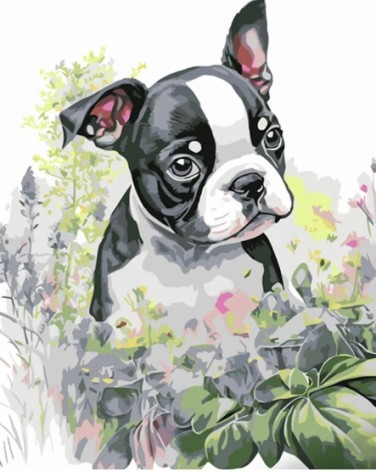 Набор для росписи по номерам Милая мордашка Strateg размером 30х40 см (SS6681)