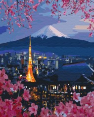 Картина по номерам: Путешествие по Японии 40*50