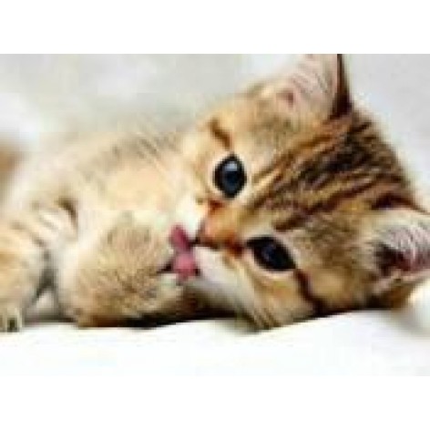 Алмазная мозаика по номерам 30*40 