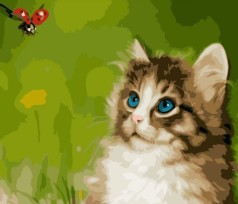 Набір для розпису по номерах Котик із сонечком Strateg розміром 40х50 см (GS365)