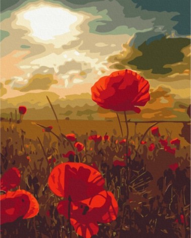 Картина за номерами: Маки під сонцем, що горить 40*50 BS51961