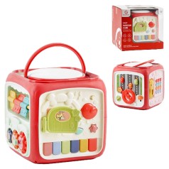 Бизы-куб вид 1