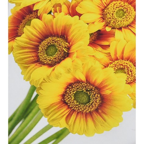 Алмазная картина Солнечные цветы Strateg 30х40 см (HEG88145)