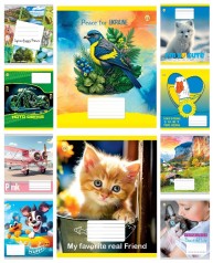 Тетрадь 12 л.клетка Твердая ТЕ41104 Микс 4, 25 шт. в уп. /600/, 10к.