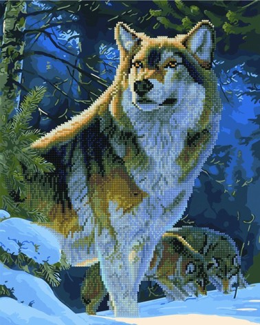 Картина за номерами + Алмазна мозаїка 