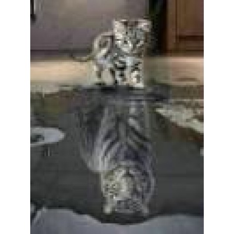 Алмазная мозаика по номерам 30*40 