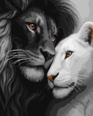 Набор для раскраски по номерам Ideyka 