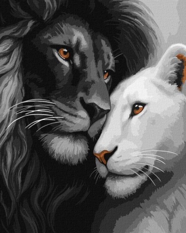 Набор для раскраски по номерам Ideyka 