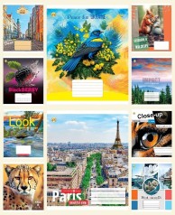 Тетрадь 60 арк.клітинка Тверда ТЕ41601 Мікс 1, 10 шт. в уп. /160/ 10к.