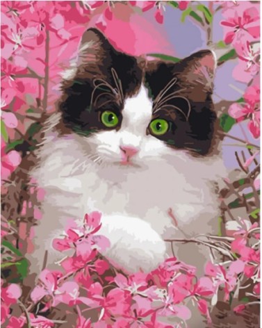 Набір для розпису по номерах Котик у рожевих квітах Strateg розміром 40х50 см (GS1483)