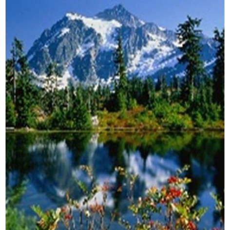 Алмазна мозаїка за номерами 40*50 