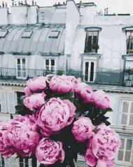 Картина за номерами 