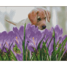 Набір для творчості алмазна картина Песик над фіолетовими квітами Strateg розміром 30х40 см (KB021)