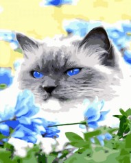 Набір для розпису по номерах Strateg 