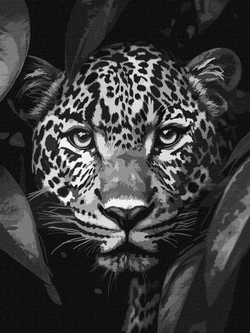 Набор для раскраски по номерам 