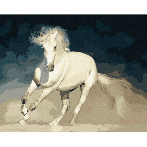 Картина за номерами "Біла грація"