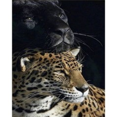 Набор для творчества алмазная картина Пантера и леопард Strateg размером 30х40 см кв (HEG86057)